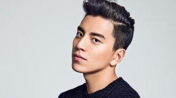 王大陆,从青春偶像到实力派演员的蜕变之路